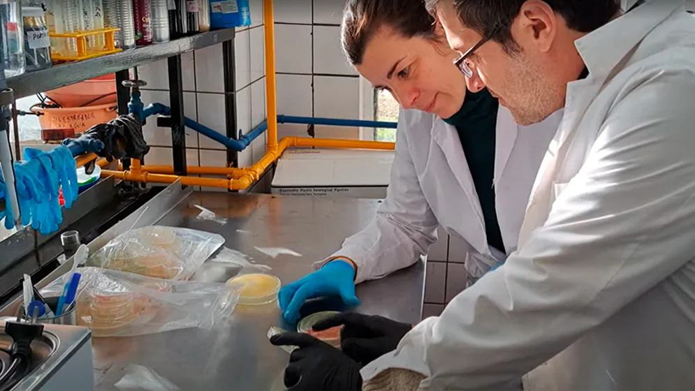 2026-10-30 CONICET - Biomateriales 03
