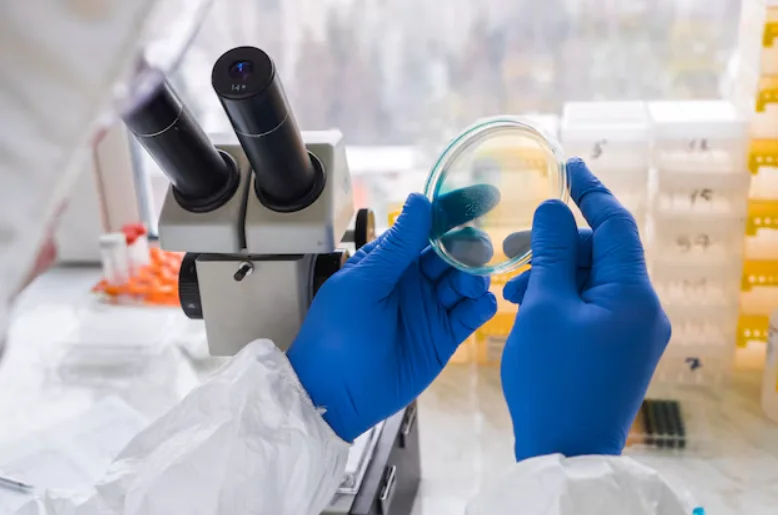 Bacterias 2