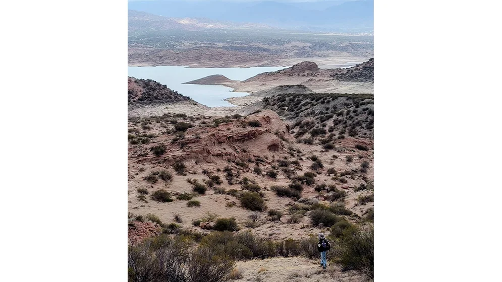 4.-Potrerillos