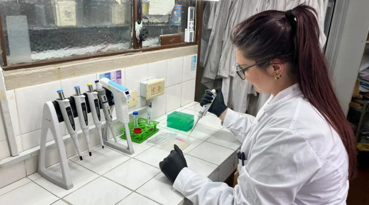 2026-09-29 UNCA - CONICET - Cáncer de páncreas 01