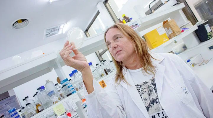 Tuberculosis 1. Gabriela Gago